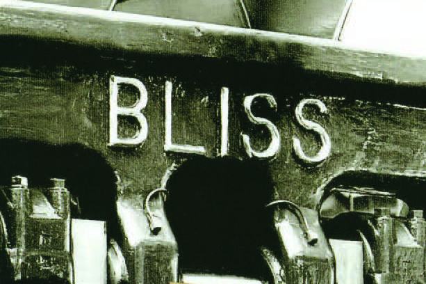 Bliss Booklet bliss header